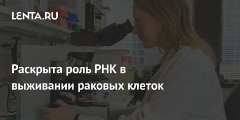 Мазок NILM: ранняя диагностика раковых клеток