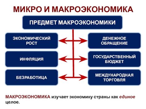 Макроэкономика и микроэкономика: различия и основные концепции