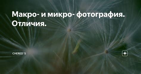 Макро и микро: отличия и влияние на жизнь