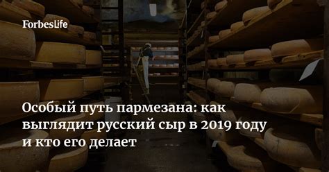 Маскарад и обман: толкование сновидения о высокой цене на сыр, не соответствующей его качеству