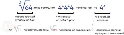 Математический корень