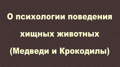 Медведи как объект исследований поведения животных