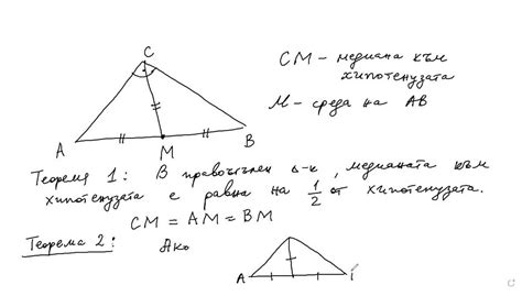 Медиана: определение и примеры расчета