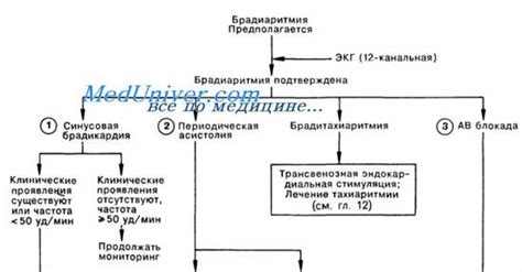 Медикаментозное лечение синусовой брадиаритмии