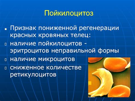 Медицинские причины кровяных выделений у детей: как индикатор состояния здоровья?