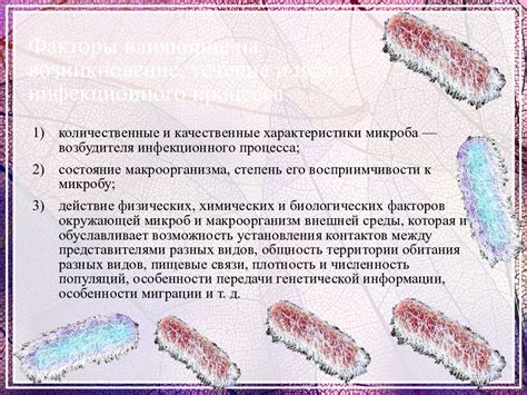 Медицинские факторы, влияющие на возникновение сновидений, связанных с кишками