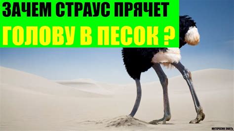 Мелкая неурядица в доме: зачем песок скрытый в обуви?