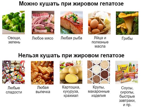 Меню при гепатозе печени: полезные продукты