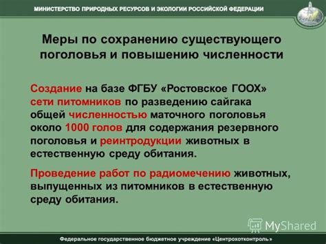 Меры по сохранению и возрождению численности популяции: превентивные действия и активное вмешательство