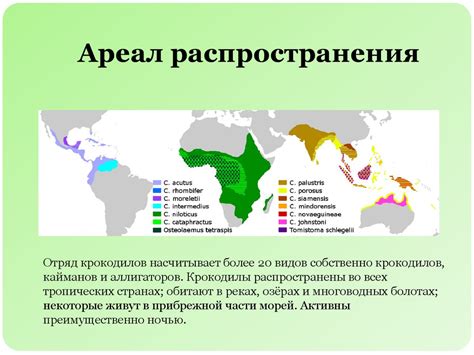 Места обитания и ареал распространения