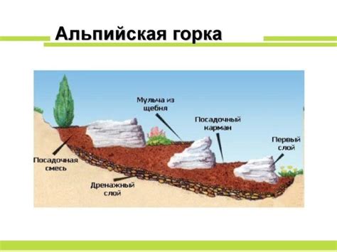 Места применения альпийской форточки