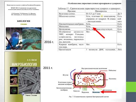 Место биологии в системе экзаменов