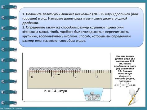 Место выбора и определение размеров