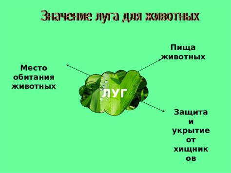 Место обитания и укрытие