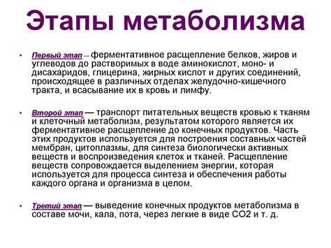 Метаболизм ФДГ и его значение в организме: основные понятия и принципы