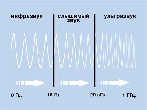 Методы использования характерного звука в медицине