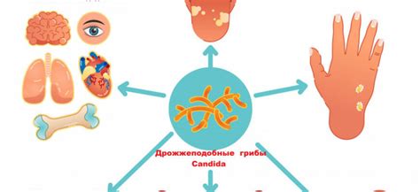 Методы лечения изувеченного тела