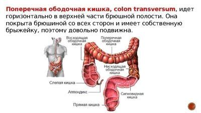 Методы лечения патологии ободочной кишки