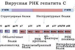 Методы обнаружения РНК гепатита С