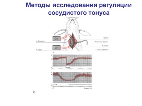 Методы повышения тонуса сосудов