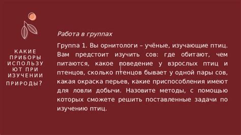 Методы предотвращения поедания гусятами перьев