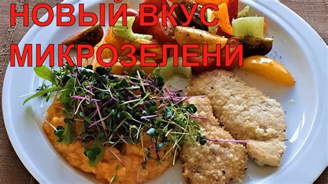 Методы приготовления рыбы: открываем новые вкусы