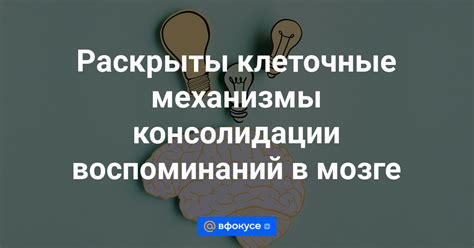 Механизмы анализа подсознательных воспоминаний через символическое значение газеты в мужском сновидении