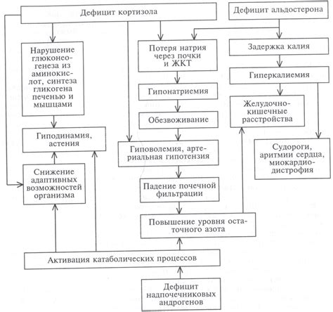 Механизмы возникновения и проявления