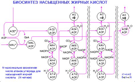 Механизмы замены нуклеотидов