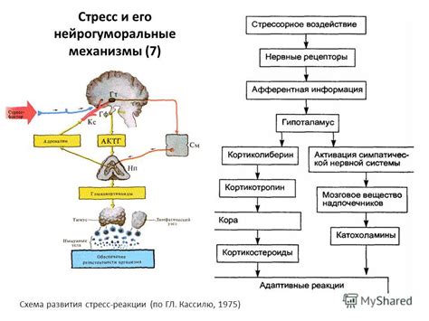 Механизмы негативной реакции