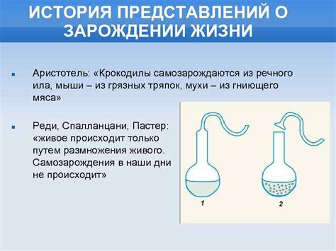 Механизмы образования речного ила