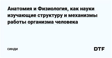 Механизмы работы организма после смерти