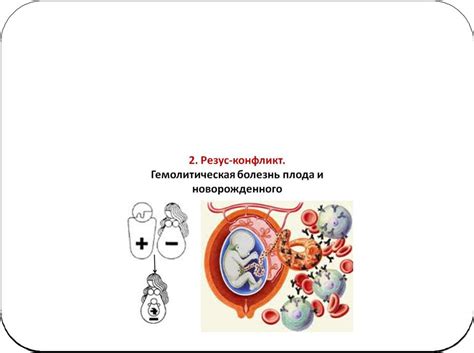 Механизмы сенсибилизации по гранулоцит-зависимому типу