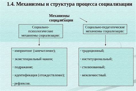 Механизмы социализации и их влияние на формирование правил поведения