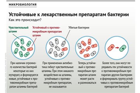 Механизмы устойчивости к антибиотикам