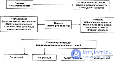 Механизмы формирования ощущений