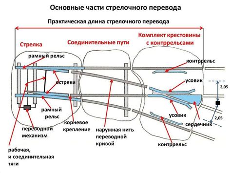 Механизмы хлопания ушами