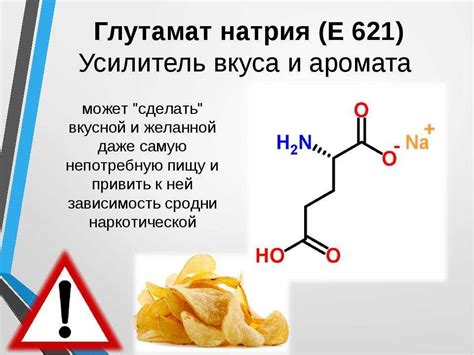 Механизм воздействия глутамата натрия на организм