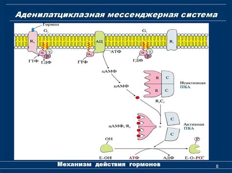 Механизм действия гелей на организм