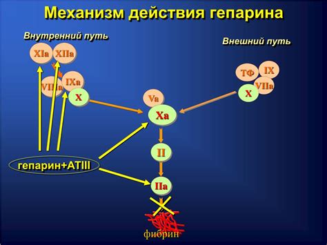 Механизм действия гепарина на организм