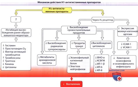 Механизм действия гипосенсибилизирующих препаратов