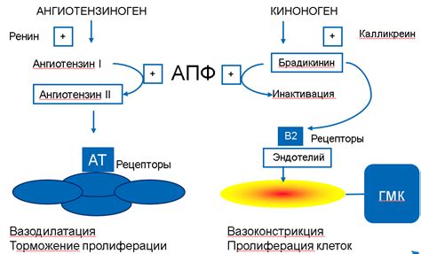 Механизм действия ингибиторов липаз