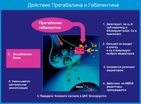 Механизм действия медикаментозной седации