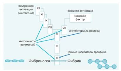 Механизм действия непрямых антикоагулянтов