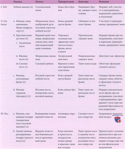 Механизм действия одной второй части таблетки