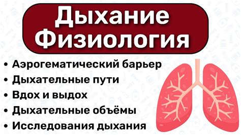 Механизм действия форсированного выдоха