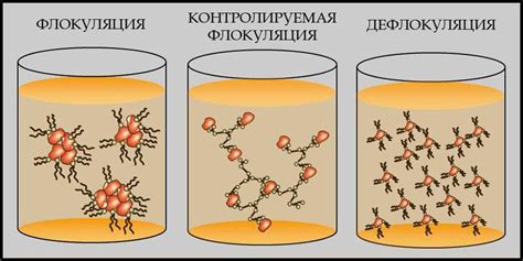 Механизм коагуляции