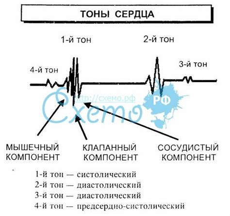 Механизм образования высокого тона сигнала