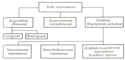 Механизм работы периостальных рефлексов