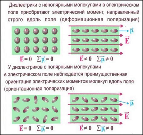 Механизм формирования вертикальной поляризации